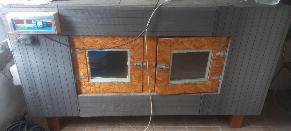 Vând familii struți reproducătoare + incubator 100 oua+ ecluzor