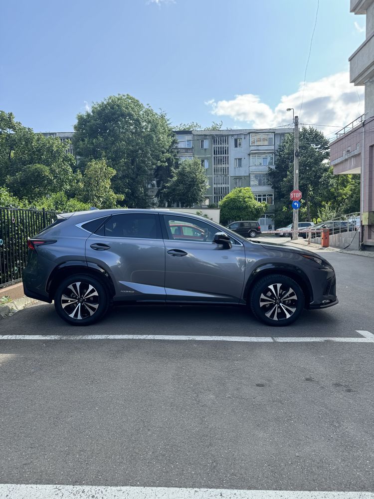 LEXUS NX300h 2019 F-Sport