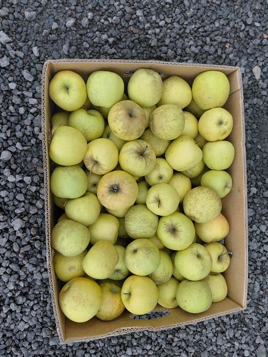 Vand mere calitatea 1