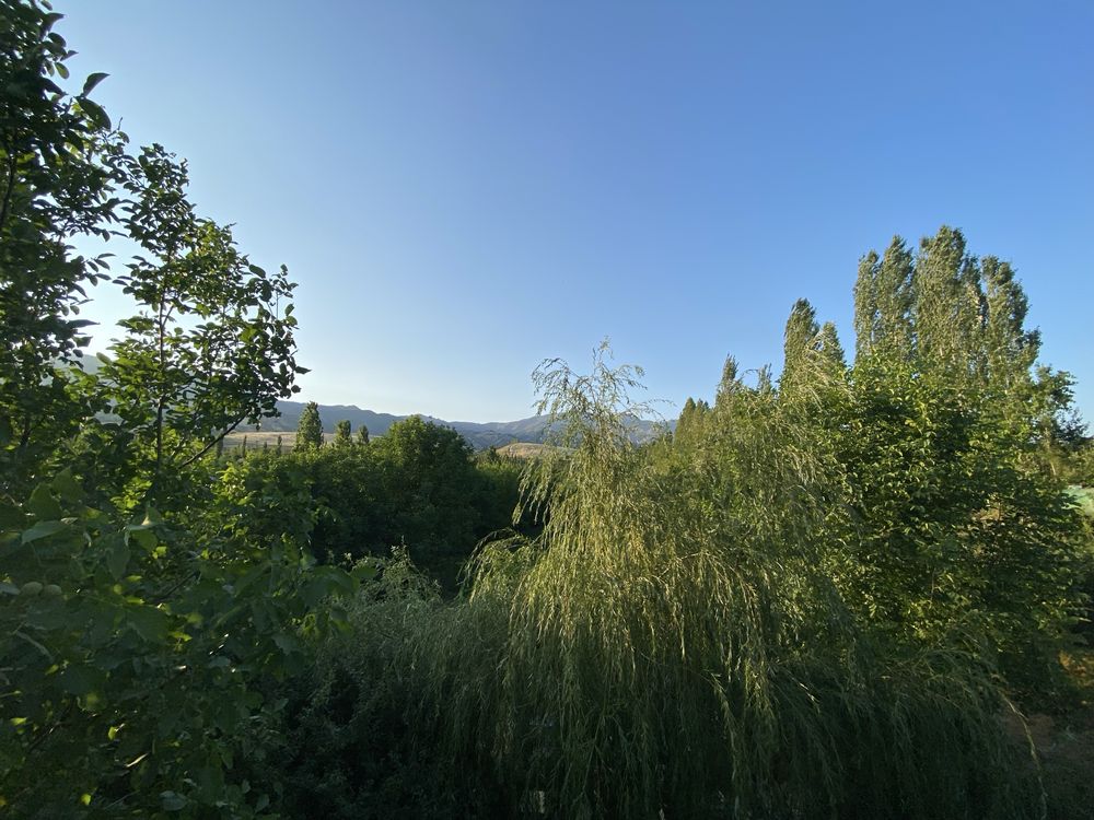 Oqtosh oilaviy dacha