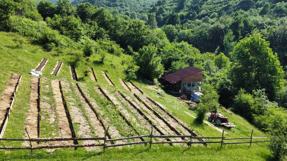 Продава се екологичен проект от 12 710 кв. м. с две нови дървени къщи.