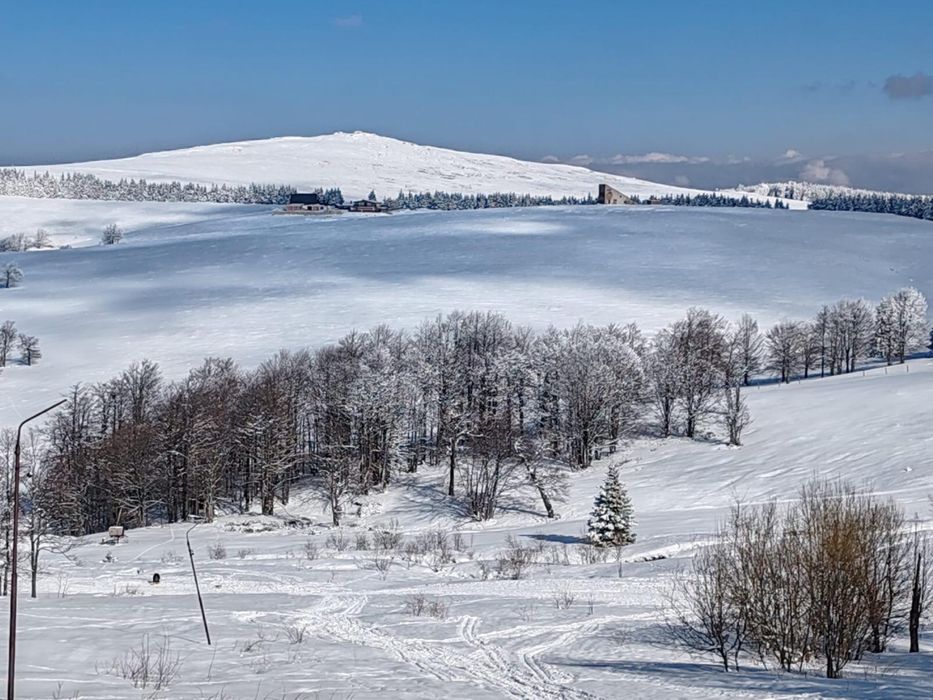 Oferta Black Friday Week: Revelion 2026 la Văliug!