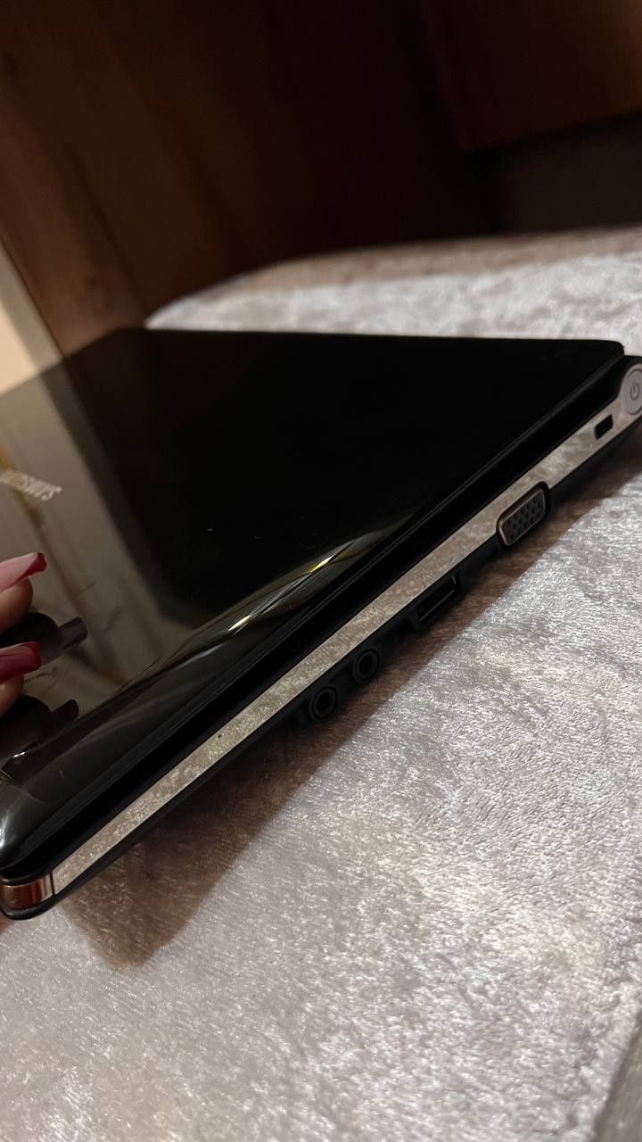 Samsung Netbook for  mobile internet