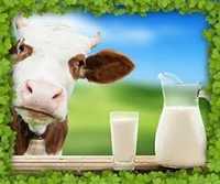 Produse lactate din lapte de vaca lapte 4 l litru