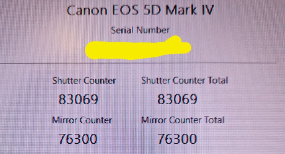Canon 5d mark iv с обектив 24-70 f2.8 L II USM