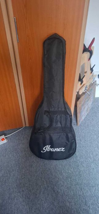 Chitara acustica Ibanez VC50NJP-NT