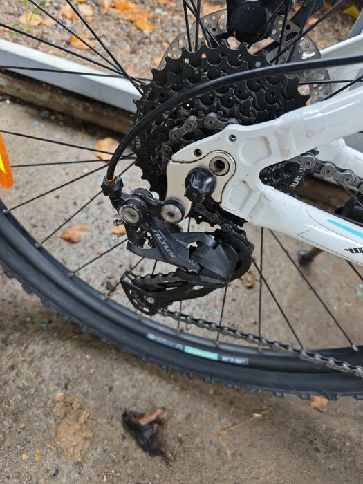 author solution original