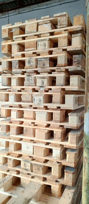 Paddon 1- sort yevro 80 mingdan