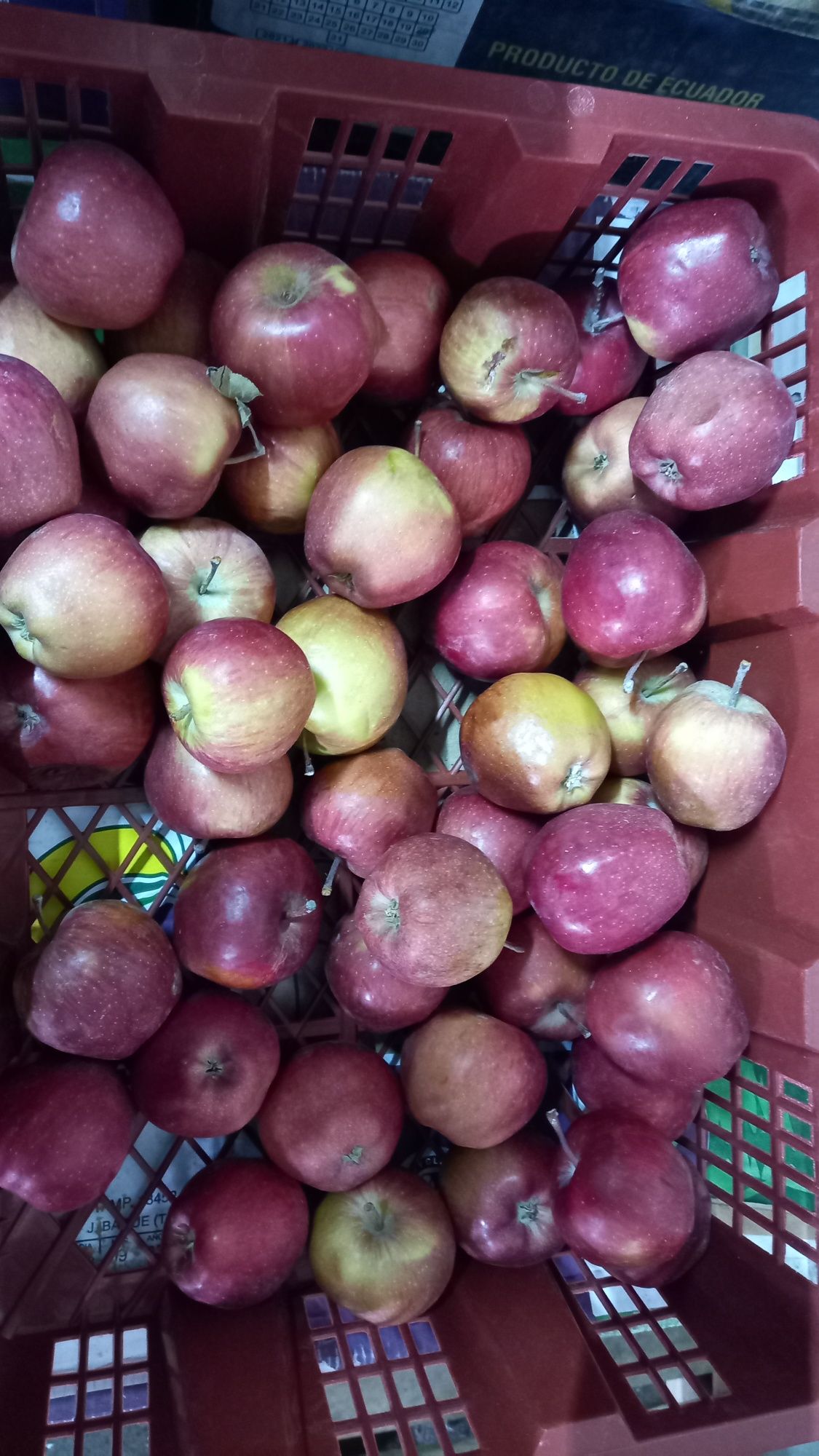 Яблоки из Алматы