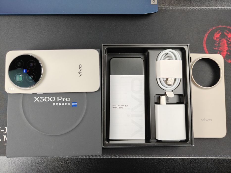 VIVO X300 Pro 12/256