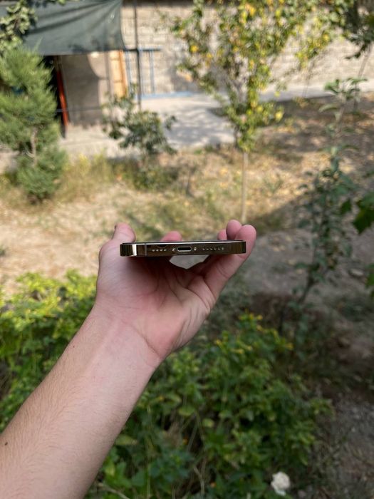 iPhone 13 Pro Max LL|A 128GB Gold — идеал, UzIMEI, есть коробка