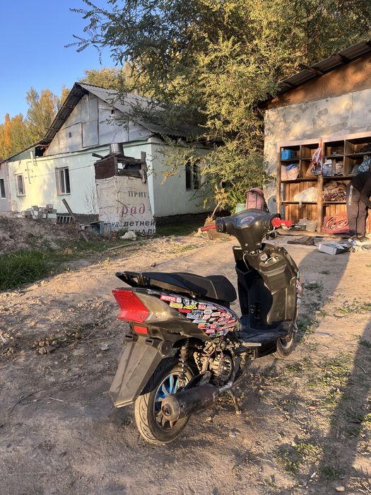 Мопед м8 веномм.