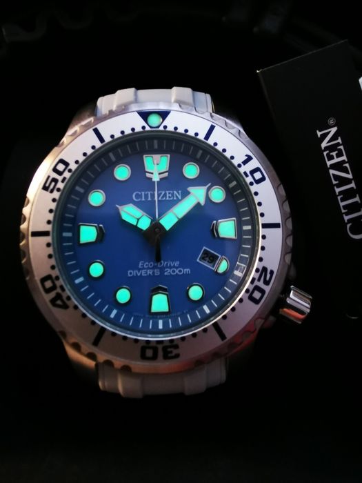Citizen promaster ice blue BN0165-55l
