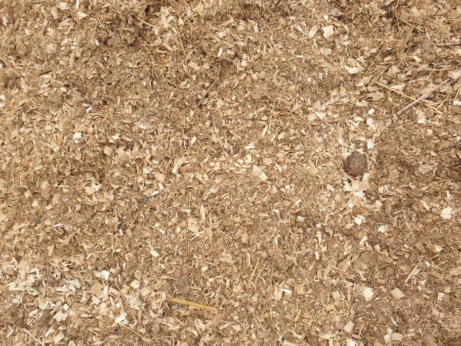 Gunoi de grajd balegar de cai cu rumegus ingrasamant natural