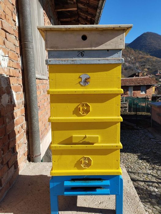 Кошери за пчели/много запазени