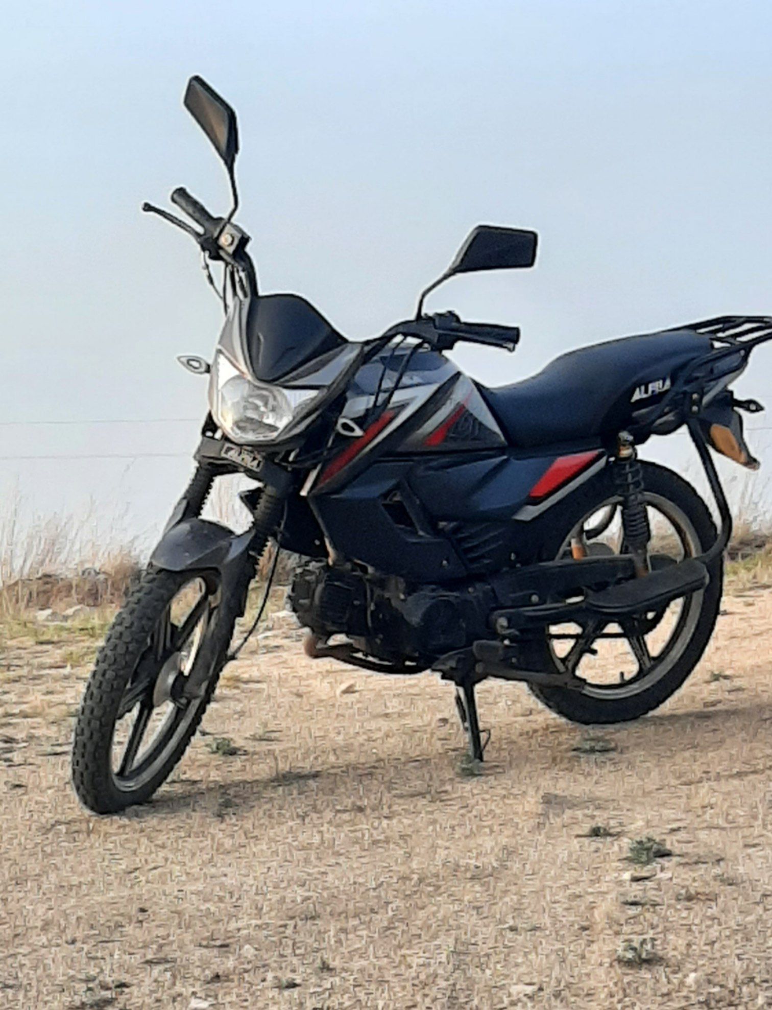 alpha rs12 champ
