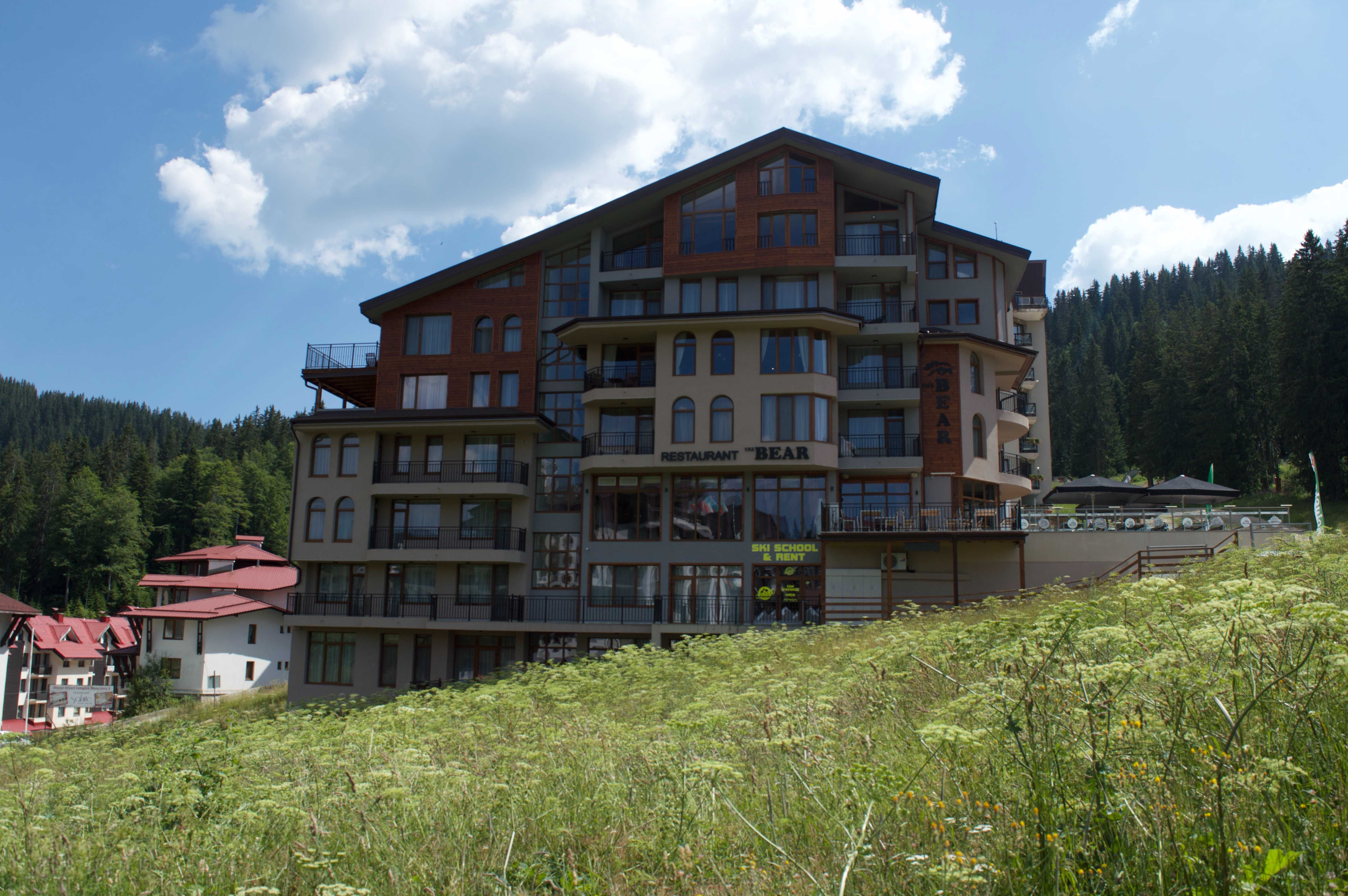 Sokolovi apartment, The bear Pamporovo