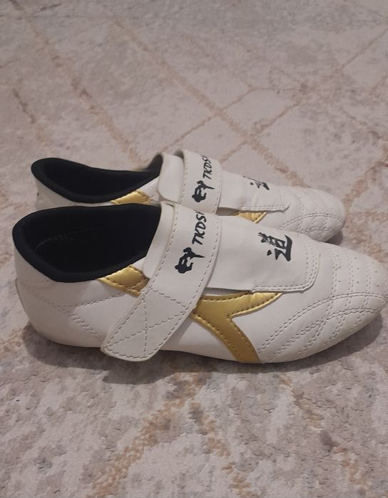 Соги. Специальная обувь для тренировок. Таэквондо