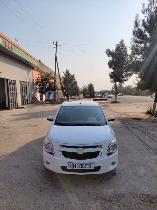 Kobalt 2024-yil. 4-pozitsiya