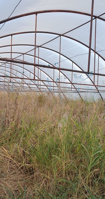 Sere/ solarii tip tunel metalice