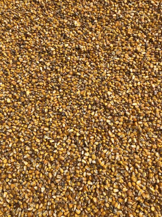 Aduc la comanda porumb grau orz