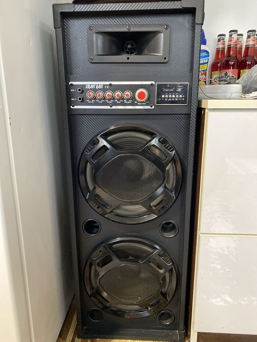 Boxe duble karaoke perfect functionale 500 de lei ambels