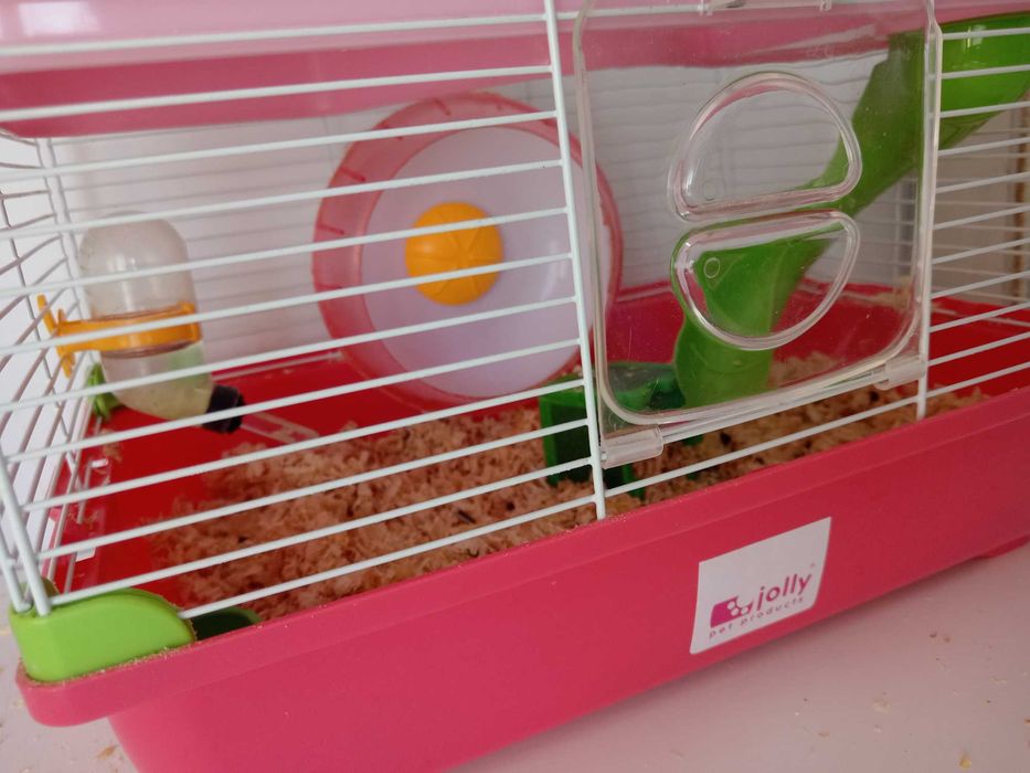Hamster pitic și cușcă cu accesorii
