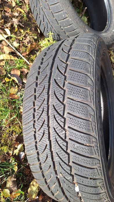 195 55 15 два броя