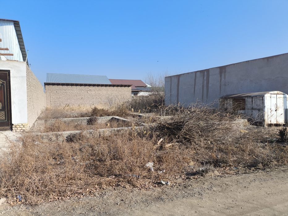 Urganch tuman Ferma koʻcha