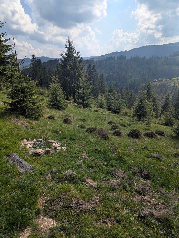 Teren la munte cu anteproiect cabana