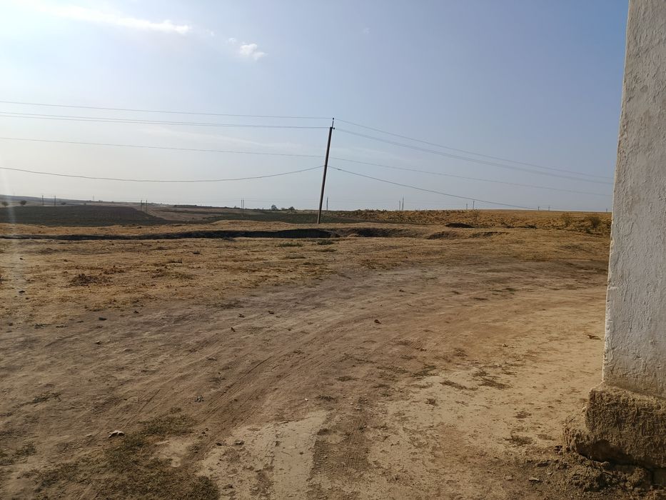 Yer sotiladi 37 sotix