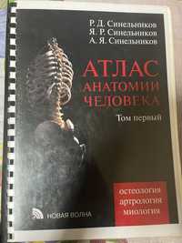 Книга атлас анатомия человека