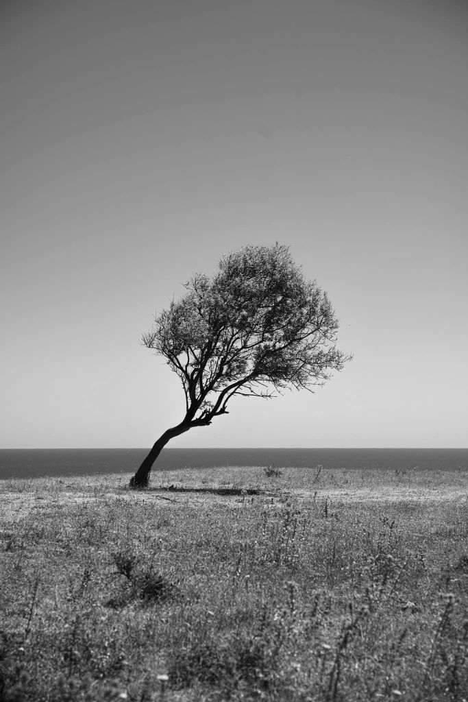 Фотограф за събития и портрети