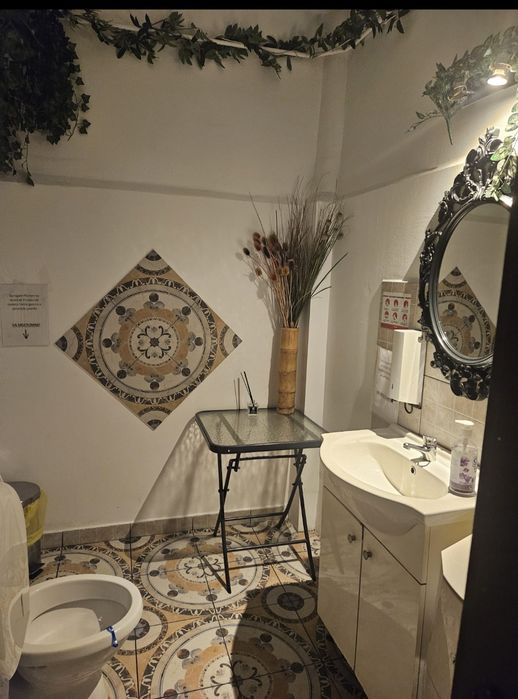 Vila,Decebal-Dristorului tradal