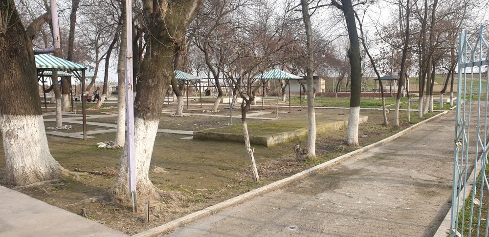 Чиноз Центрида 63 сотих Чойхона