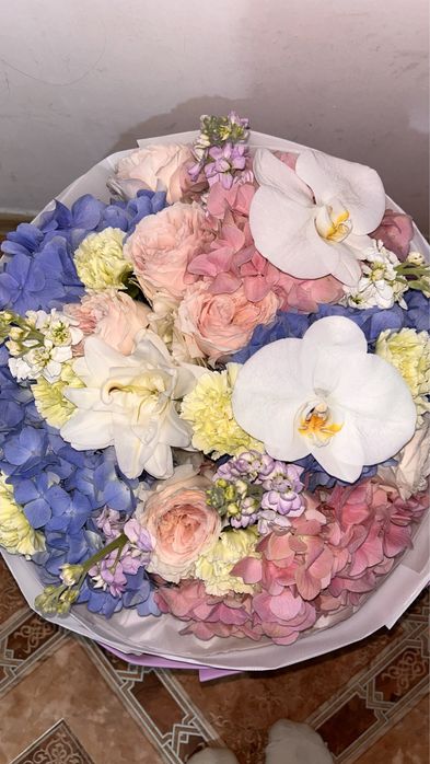 Desso flowers город актау