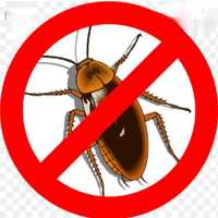 Дезинфекция тараканов, клопов, блох, муравьев, все виды помещении