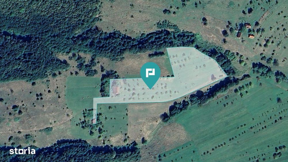 Teren de 92294 in Halmagiu