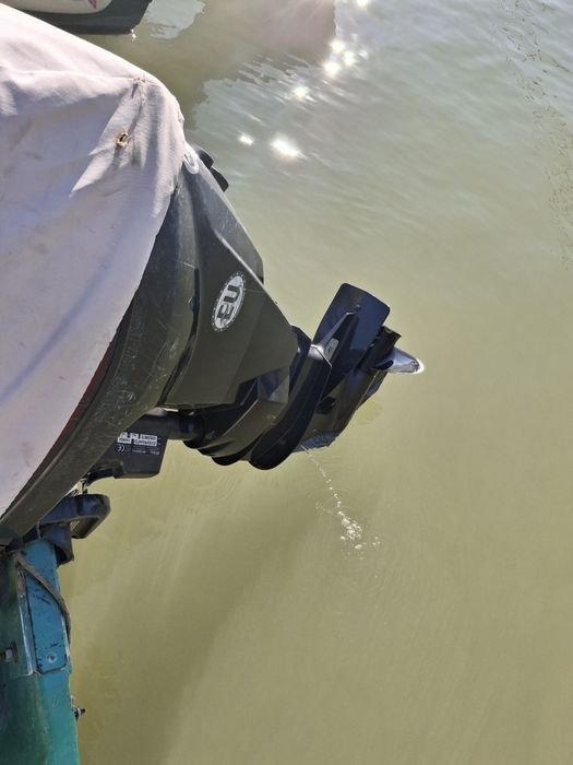 Evinrude E-TEC 25 cp