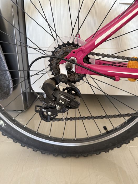 Bicicleta pentru femei
