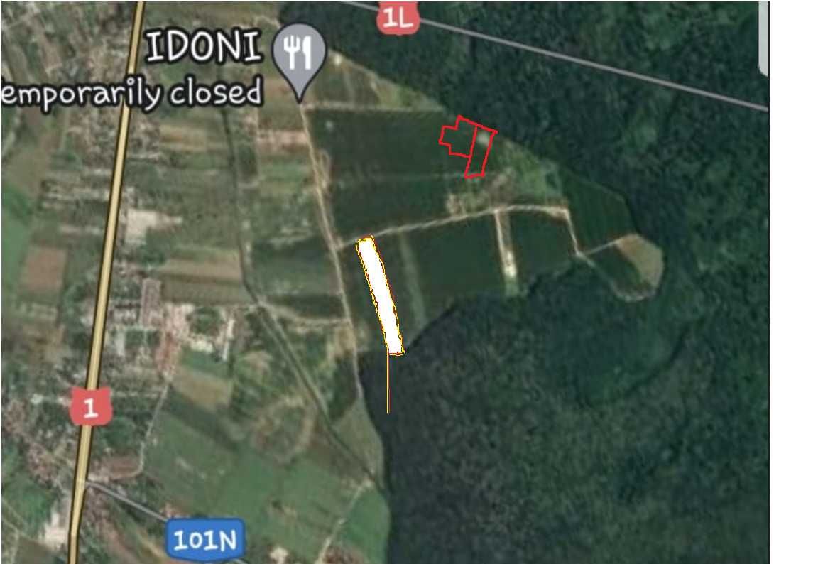 2 Terenuri intravilane - lotizabile (1 Ha + 4,050 mp)