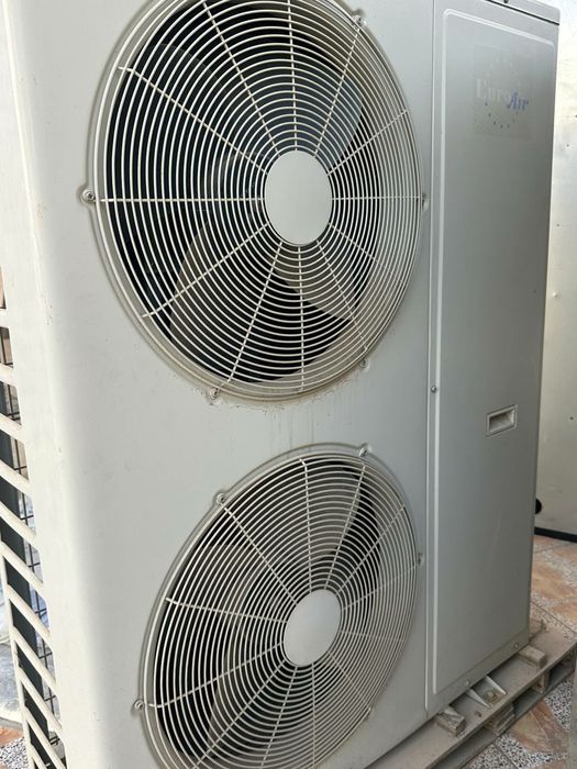 Roison Konditsaner sotiladi (b/u)