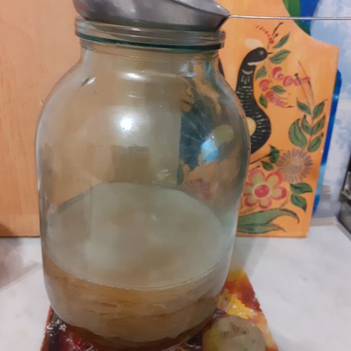 Чайный гриб продам.