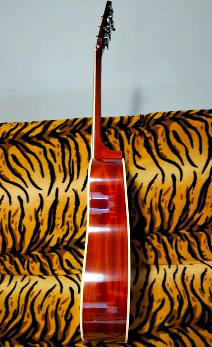 Електро акустична китара C.Giant с Fishman 301