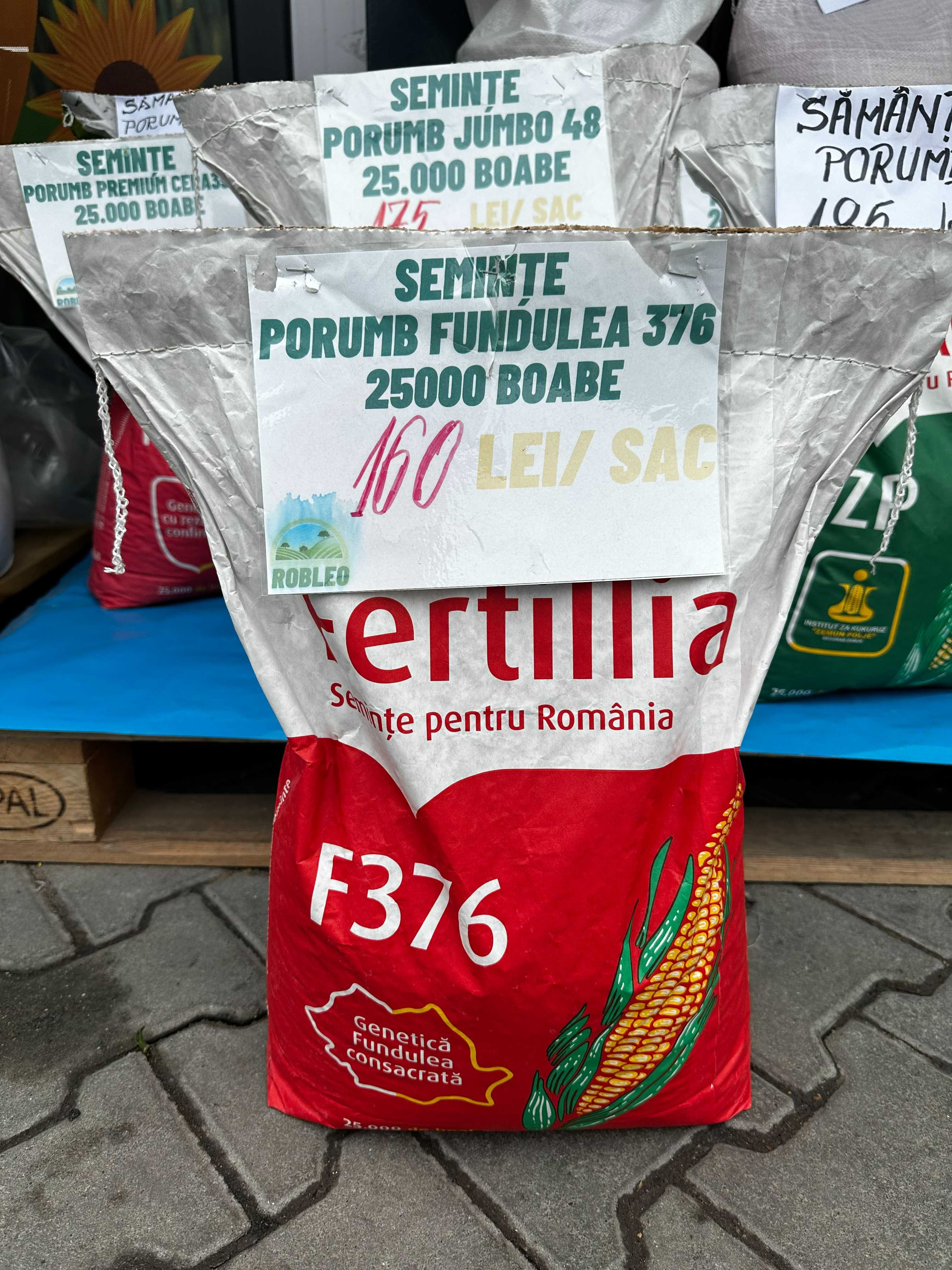 Seminte Porumb RodBun Fertillia ( Jumbo 48, Fundulea 376, ZP, Olt, BC)