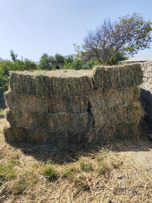 Beda  Makka aralash press sotiladi.