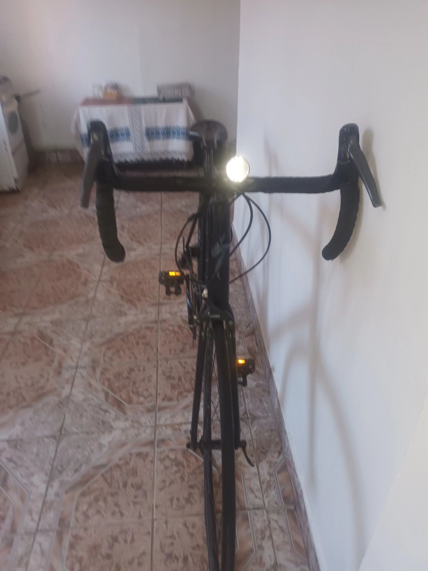Bicicleta Profesionala
