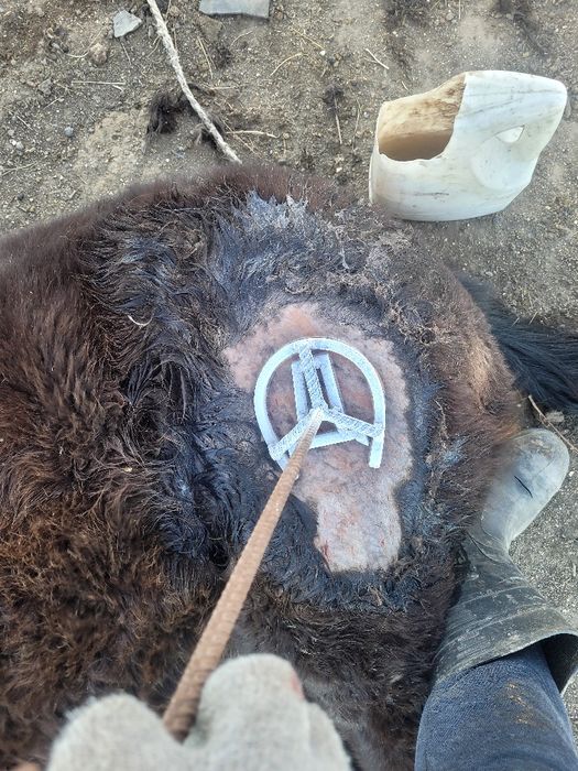 Таңба Азот Табро