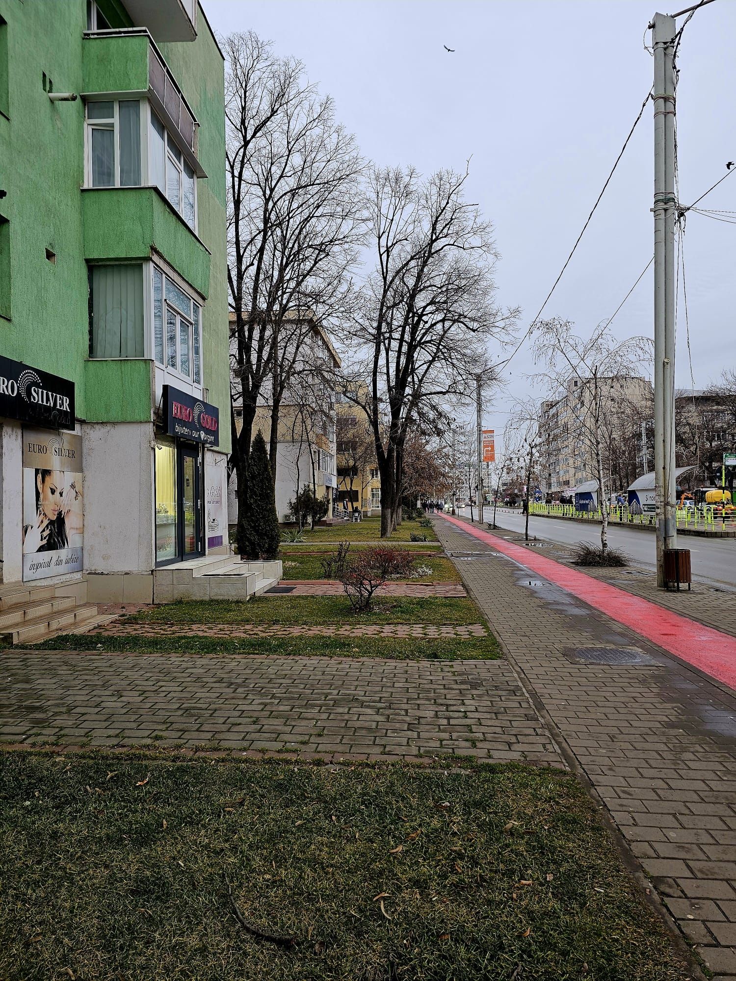 Spatiu comercial Podu ros