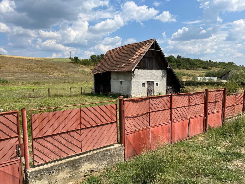 Casa + anexa + 1ha teren